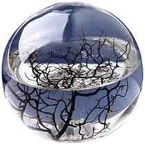 Click to learn more on Ecosphere