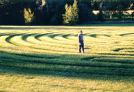 Walking the Labyrinth