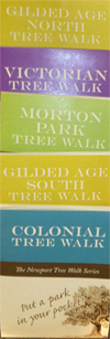 Walking tree tours